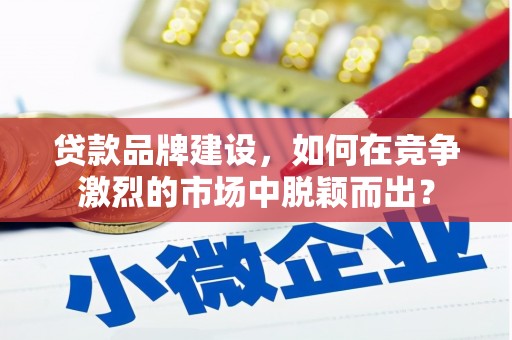 元谋贷款品牌建设，如何在竞争激烈的市场中脱颖而出？