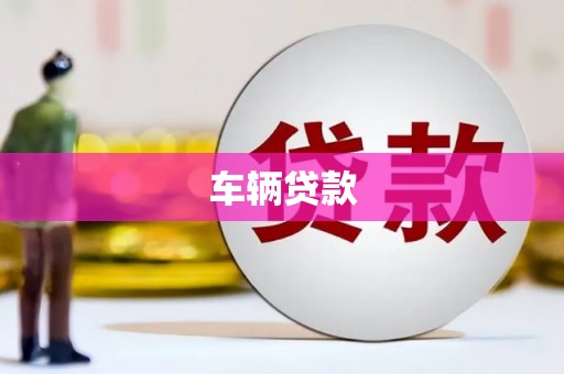 元谋车辆贷款