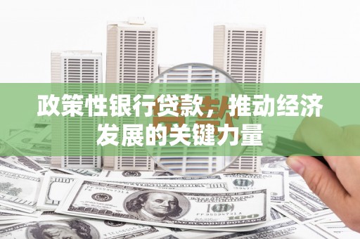 元谋政策性银行贷款，推动经济发展的关键力量