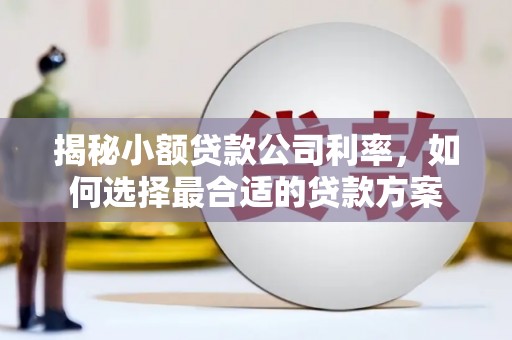 元谋揭秘小额贷款公司利率，如何选择最合适的贷款方案