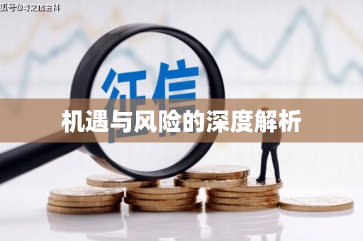 元谋机遇与风险的深度解析