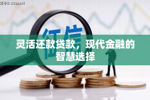 元谋灵活还款贷款，现代金融的智慧选择