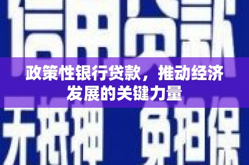 元谋政策性银行贷款，推动经济发展的关键力量