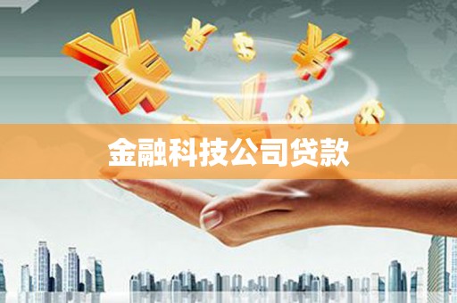 元谋金融科技公司贷款