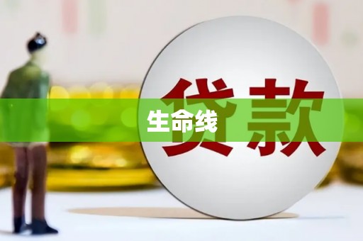 元谋生命线