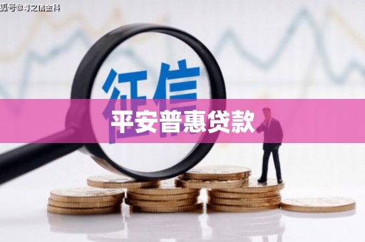 元谋平安普惠贷款