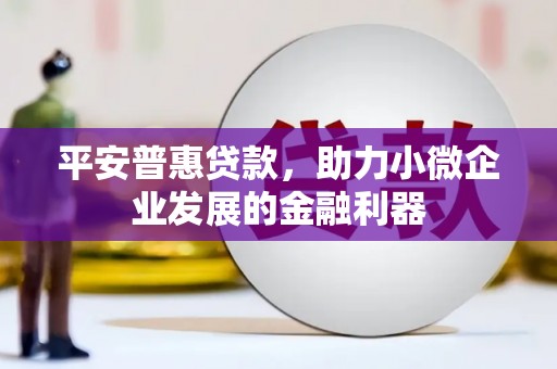 元谋平安普惠贷款，助力小微企业发展的金融利器