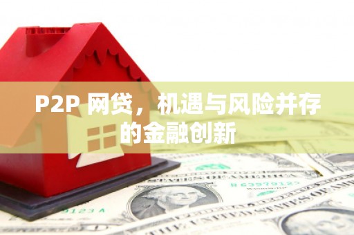 元谋P2P 网贷，机遇与风险并存的金融创新