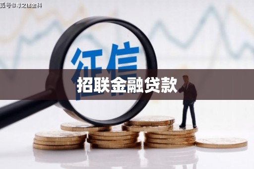 元谋招联金融贷款
