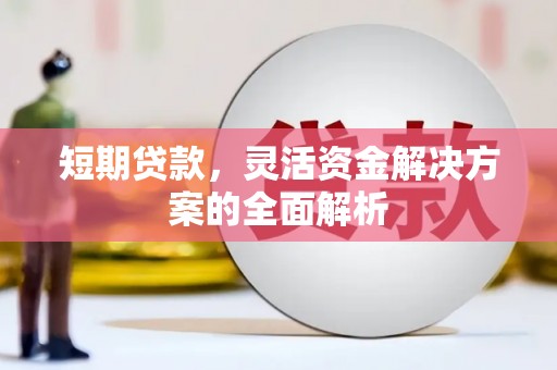 元谋短期贷款，灵活资金解决方案的全面解析