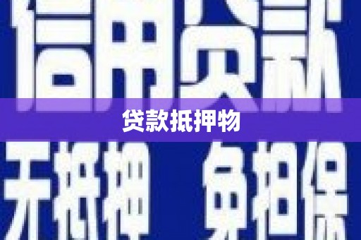 元谋贷款抵押物