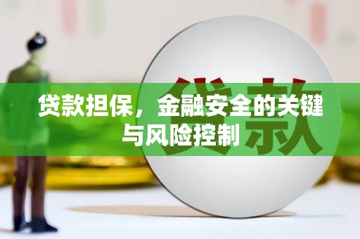 元谋贷款担保，金融安全的关键与风险控制