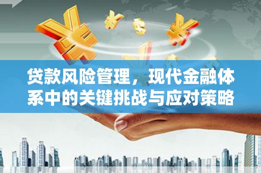 元谋贷款风险管理，现代金融体系中的关键挑战与应对策略