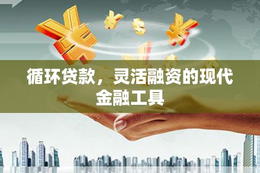 元谋循环贷款，灵活融资的现代金融工具