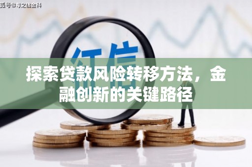 元谋探索贷款风险转移方法，金融创新的关键路径