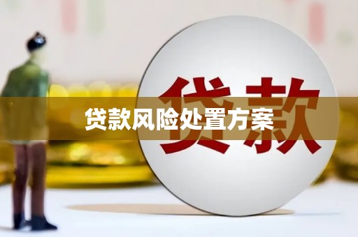 元谋贷款风险处置方案
