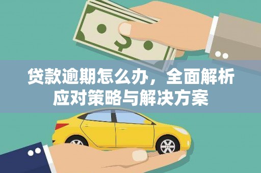 元谋贷款逾期怎么办，全面解析应对策略与解决方案