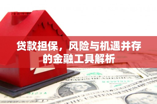 元谋贷款担保，风险与机遇并存的金融工具解析