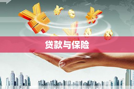 元谋贷款与保险