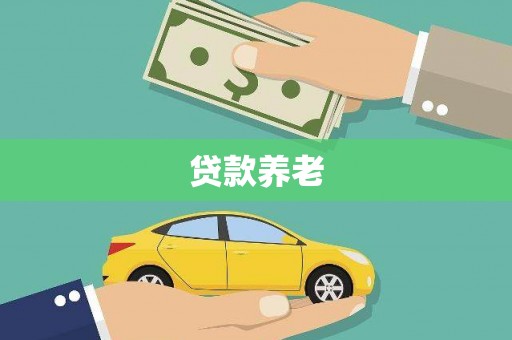 元谋贷款养老