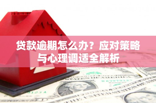 元谋贷款逾期怎么办？应对策略与心理调适全解析