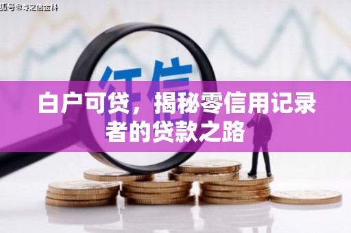 元谋白户可贷，揭秘零信用记录者的贷款之路