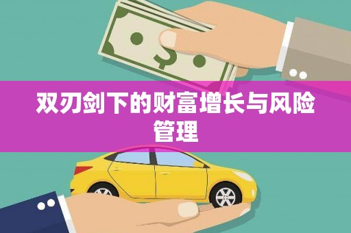 元谋双刃剑下的财富增长与风险管理