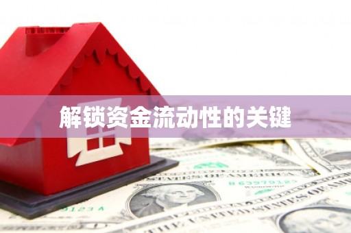 元谋解锁资金流动性的关键
