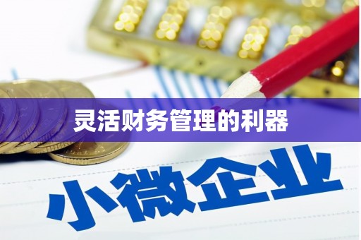 元谋灵活财务管理的利器