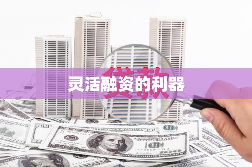 元谋灵活融资的利器