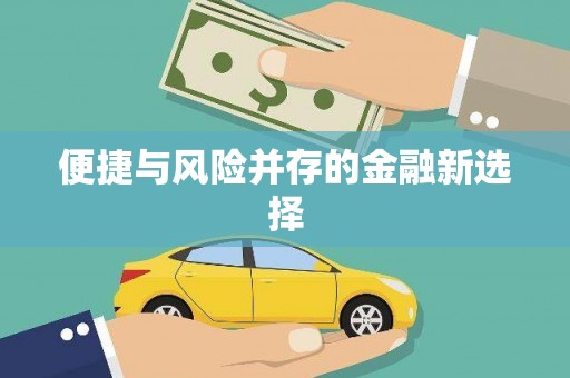 元谋便捷与风险并存的金融新选择