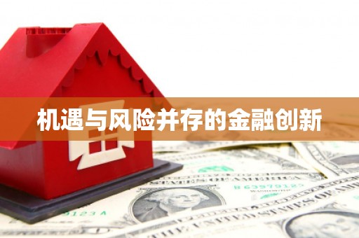 元谋机遇与风险并存的金融创新