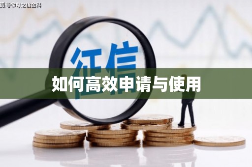 元谋如何高效申请与使用