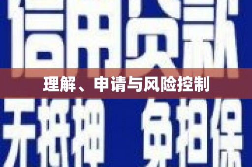 元谋理解、申请与风险控制