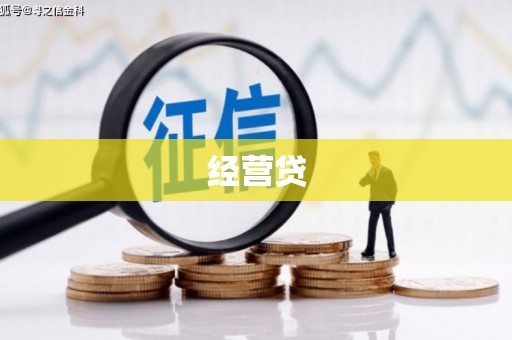 元谋经营贷