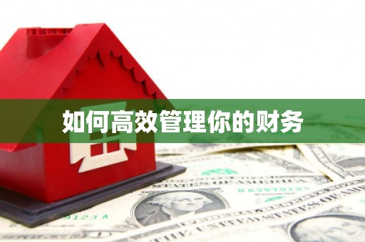 元谋如何高效管理你的财务
