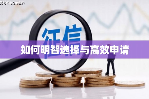 元谋如何明智选择与高效申请
