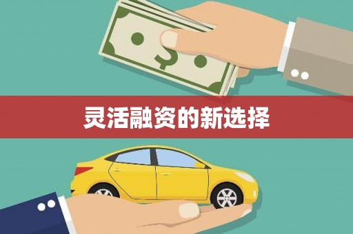元谋灵活融资的新选择