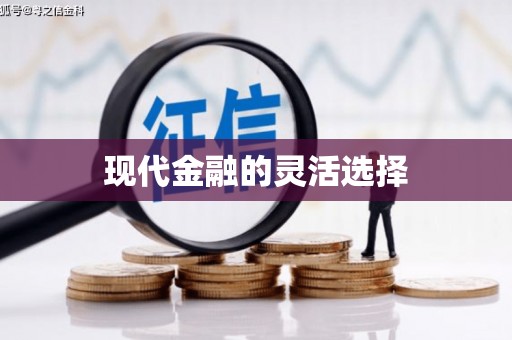 元谋现代金融的灵活选择