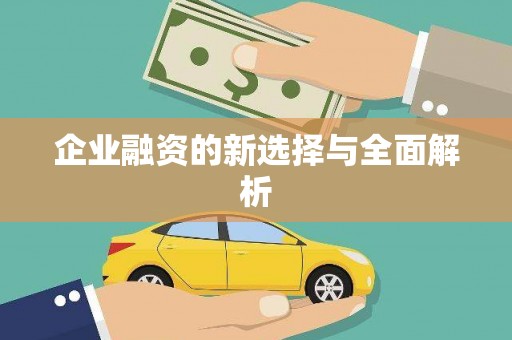 元谋企业融资的新选择与全面解析