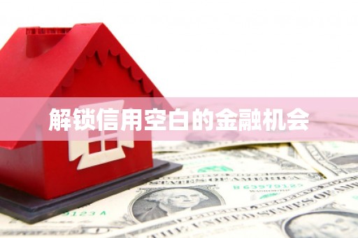 元谋解锁信用空白的金融机会
