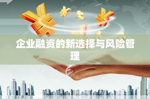元谋企业融资的新选择与风险管理