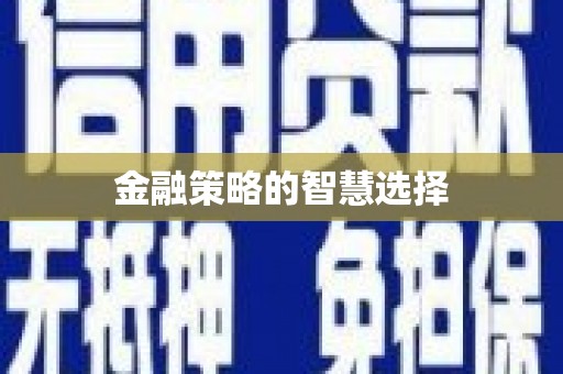 元谋金融策略的智慧选择