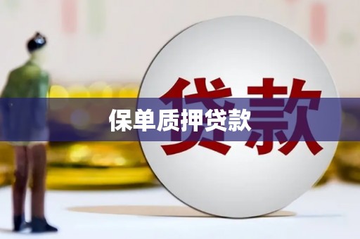 元谋保单质押贷款