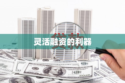 元谋灵活融资的利器