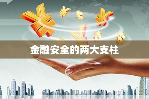 元谋金融安全的两大支柱
