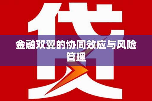 元谋金融双翼的协同效应与风险管理