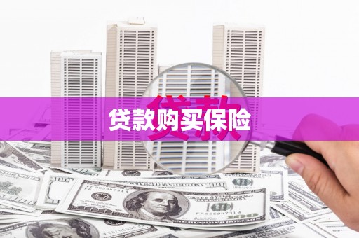 元谋贷款购买保险