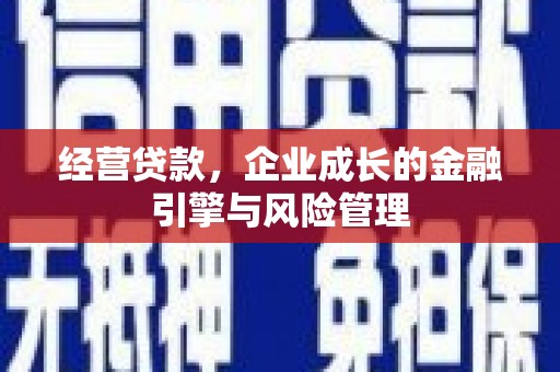 元谋经营贷款，企业成长的金融引擎与风险管理