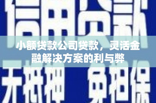元谋小额贷款公司贷款，灵活金融解决方案的利与弊